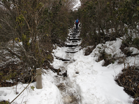 20160204hike (144)